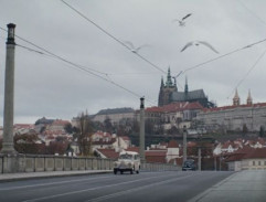 Sanitka